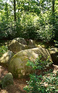 Emsbüren Steingrab