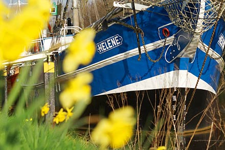 Haren Schifffahrt Helene